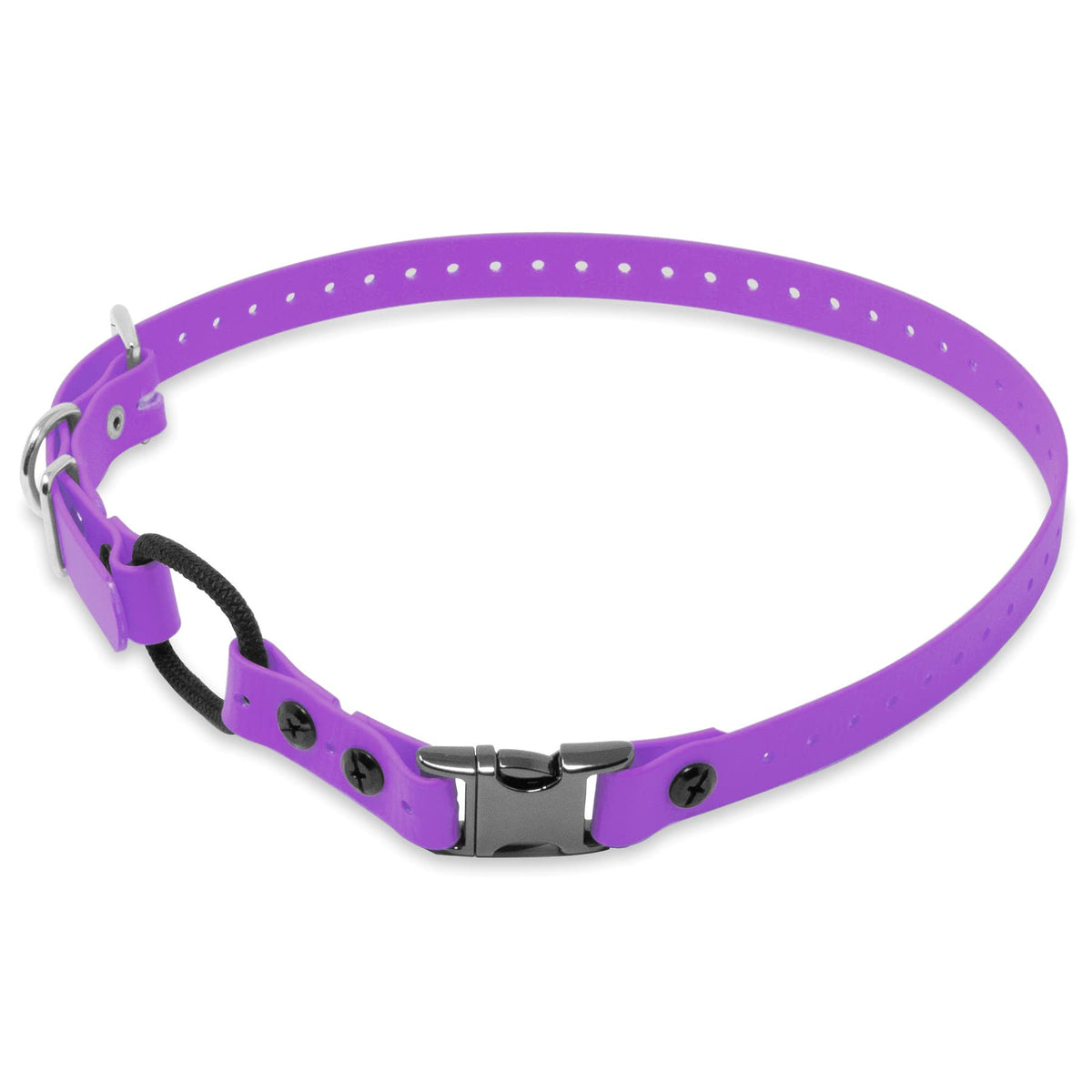 Educator collier face avant montrant design violet et fermeture rapide, durable