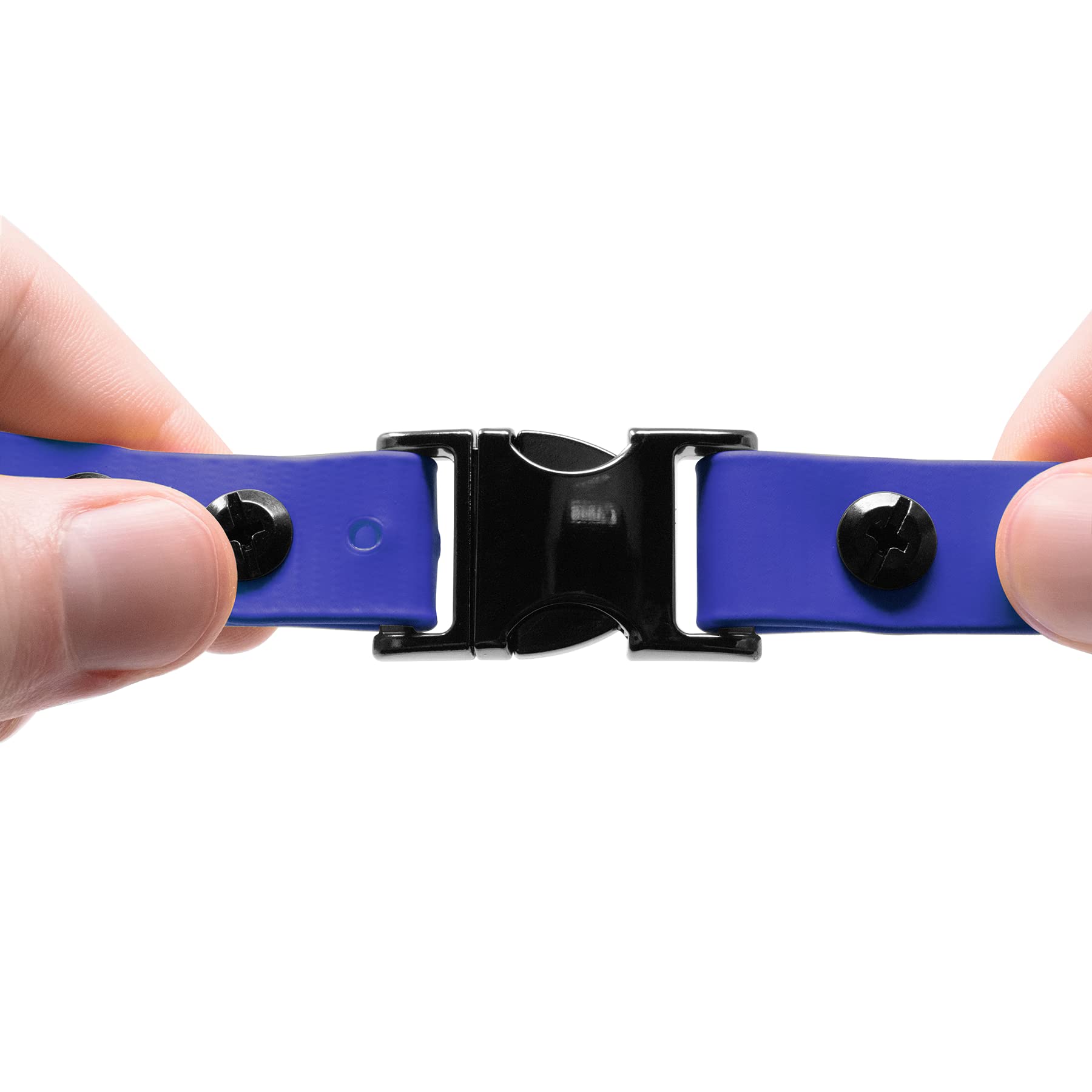 D-ring en acier du collier Educator avec médaille attachée montrant solidité et praticité