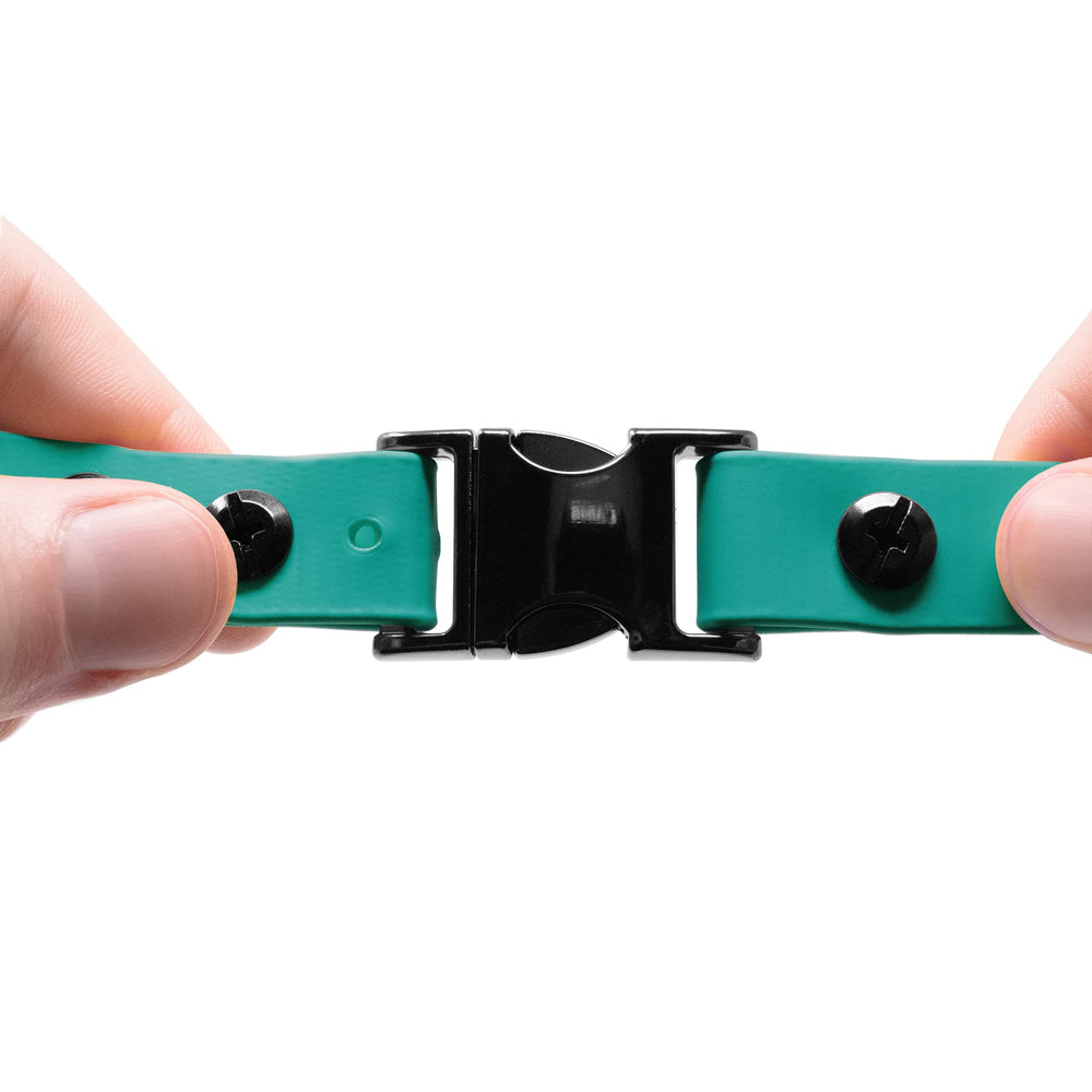 Anneau en acier D-ring Educator avec médaille, fixation fiable pour laisse