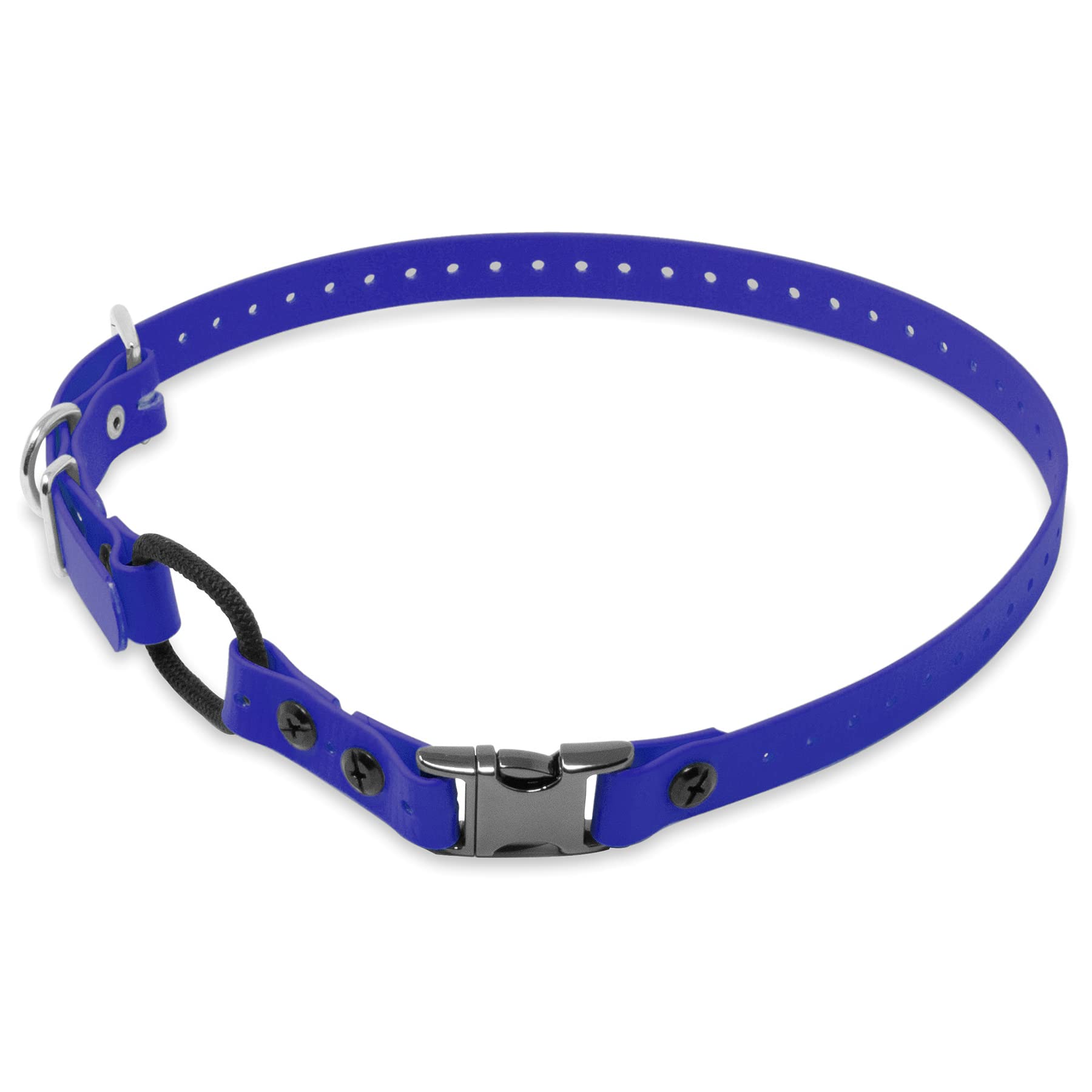 Educator image avant du collier Quick Snap montrant la sangle bleue et la boucle — remplaçant durable