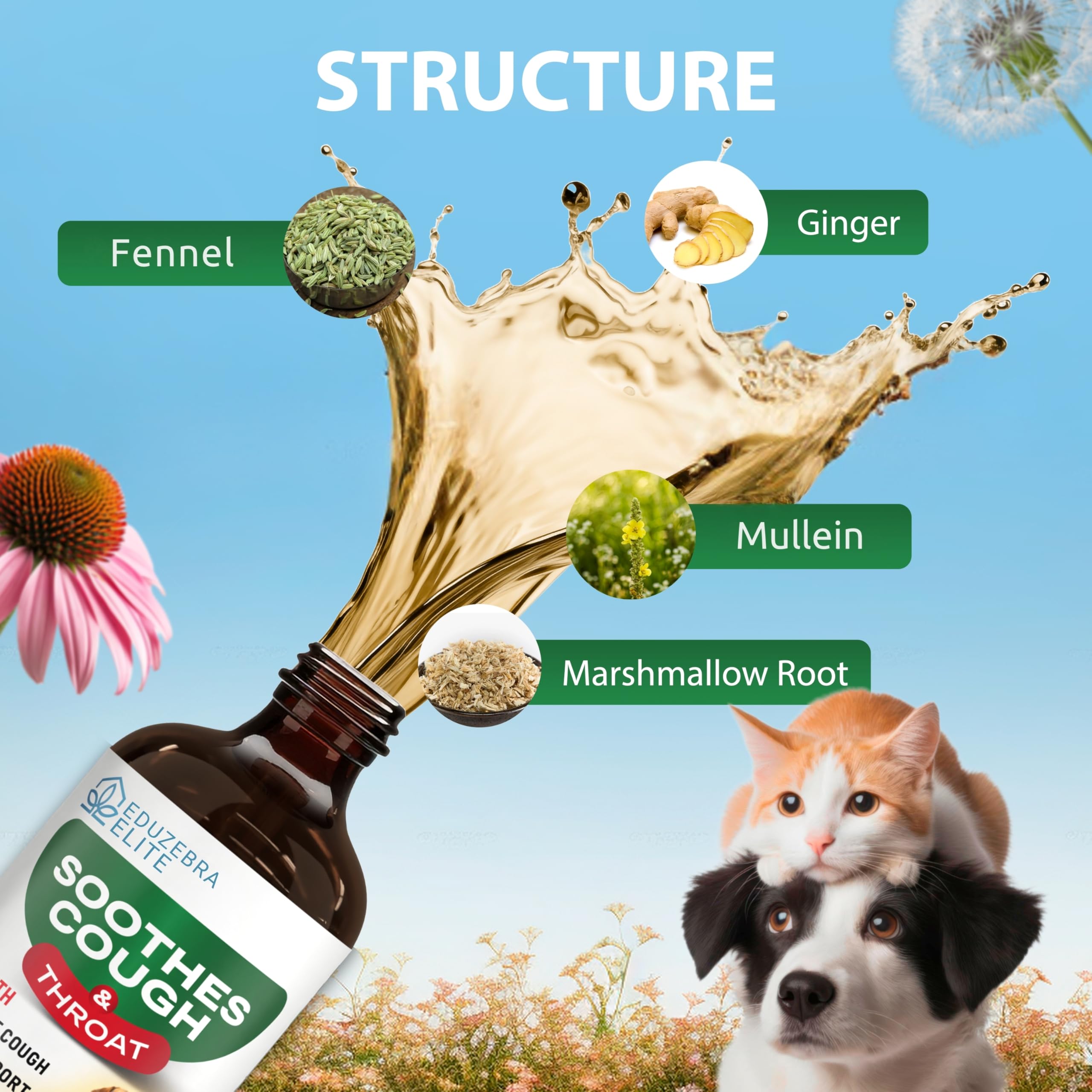 EDUZEBRA administration douce pour chat, rassure et facilite l'usage