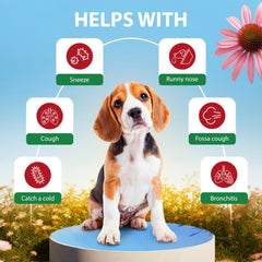 EDUZEBRA démonstration d'administration chez un chien pour un soulagement pratique