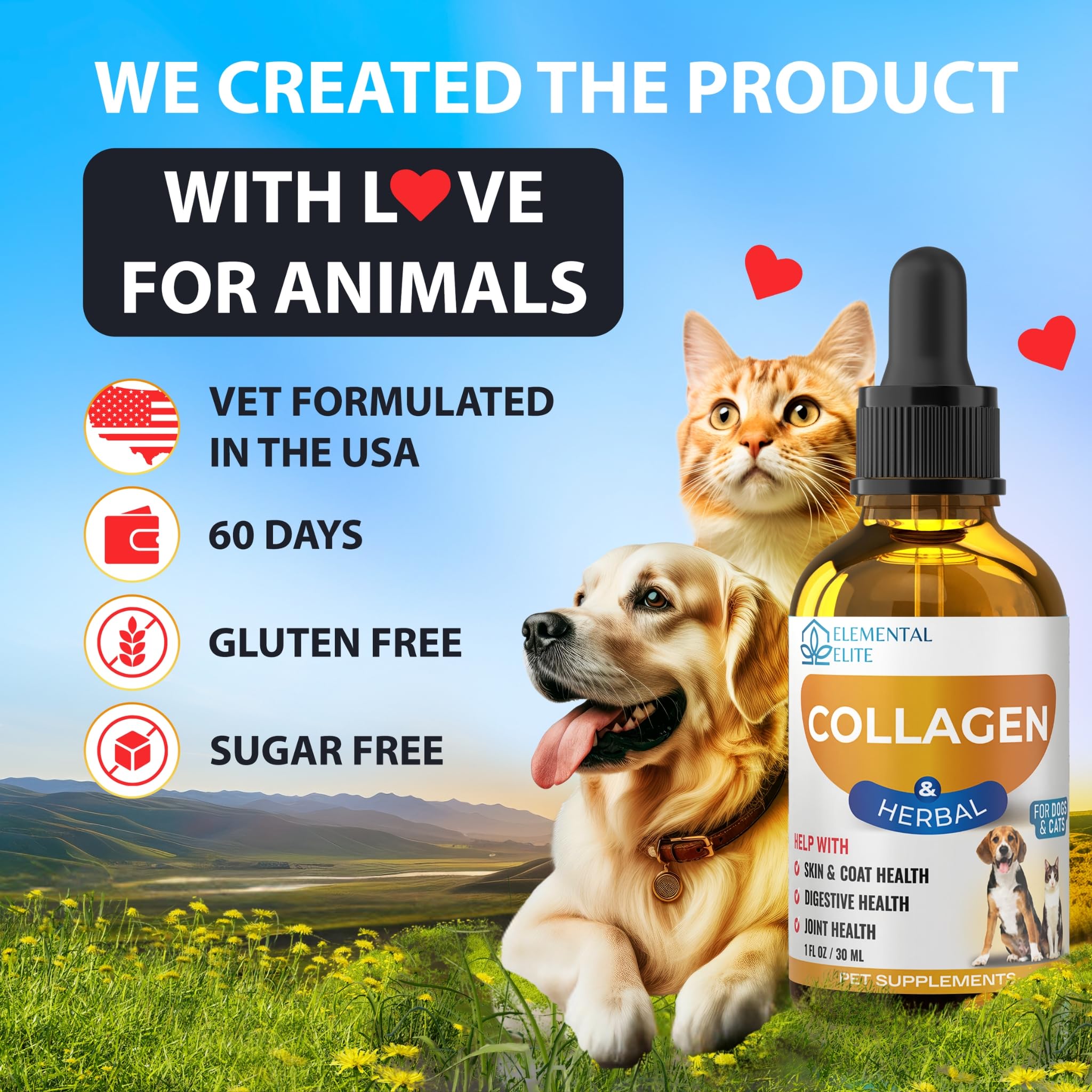 EDUZEBRA chien et chat actifs en extérieur montrant vitalité améliorée
