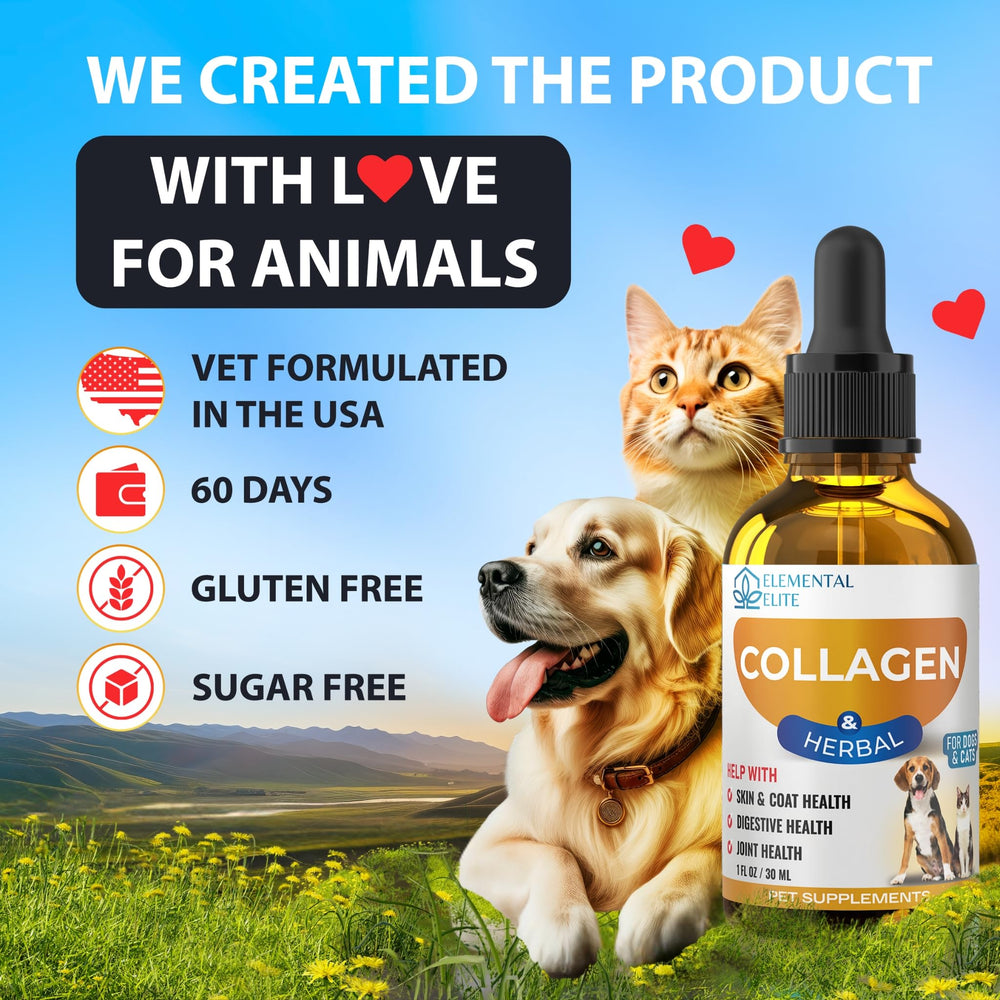 EDUZEBRA chien et chat actifs en extérieur montrant vitalité améliorée
