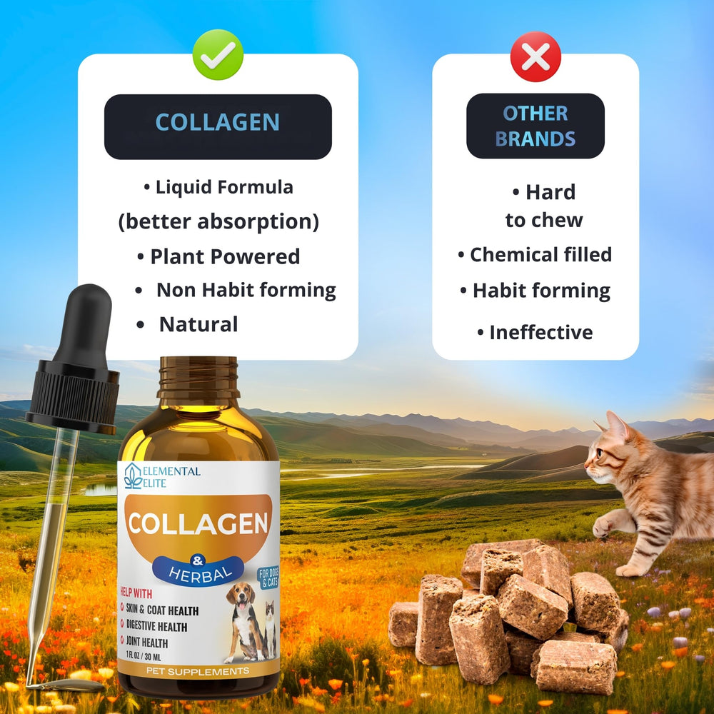 EDUZEBRA gros plan ingrédients naturels issus de pâturage pour qualité