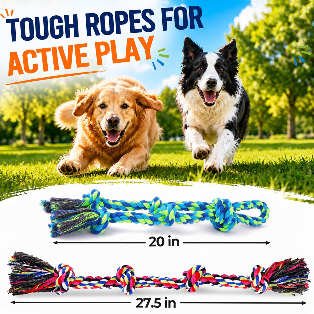 Eefitoys chien jouant au tir à la corde pour exercice interactif
