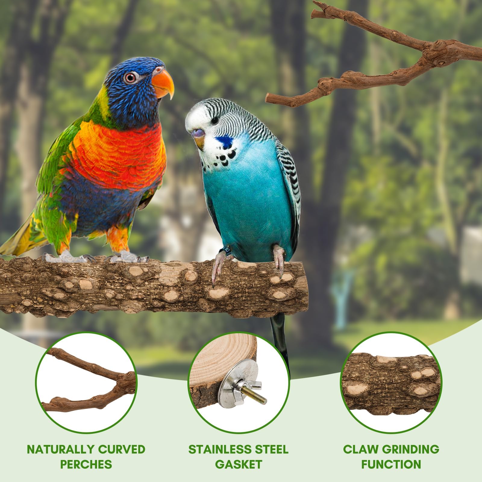 EELLAO perchoirs installés dans cage avec oiseau actif et environnement enrichi