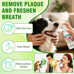 Egmsic Dentaclean gros plan de la buse pour application précise et pratique