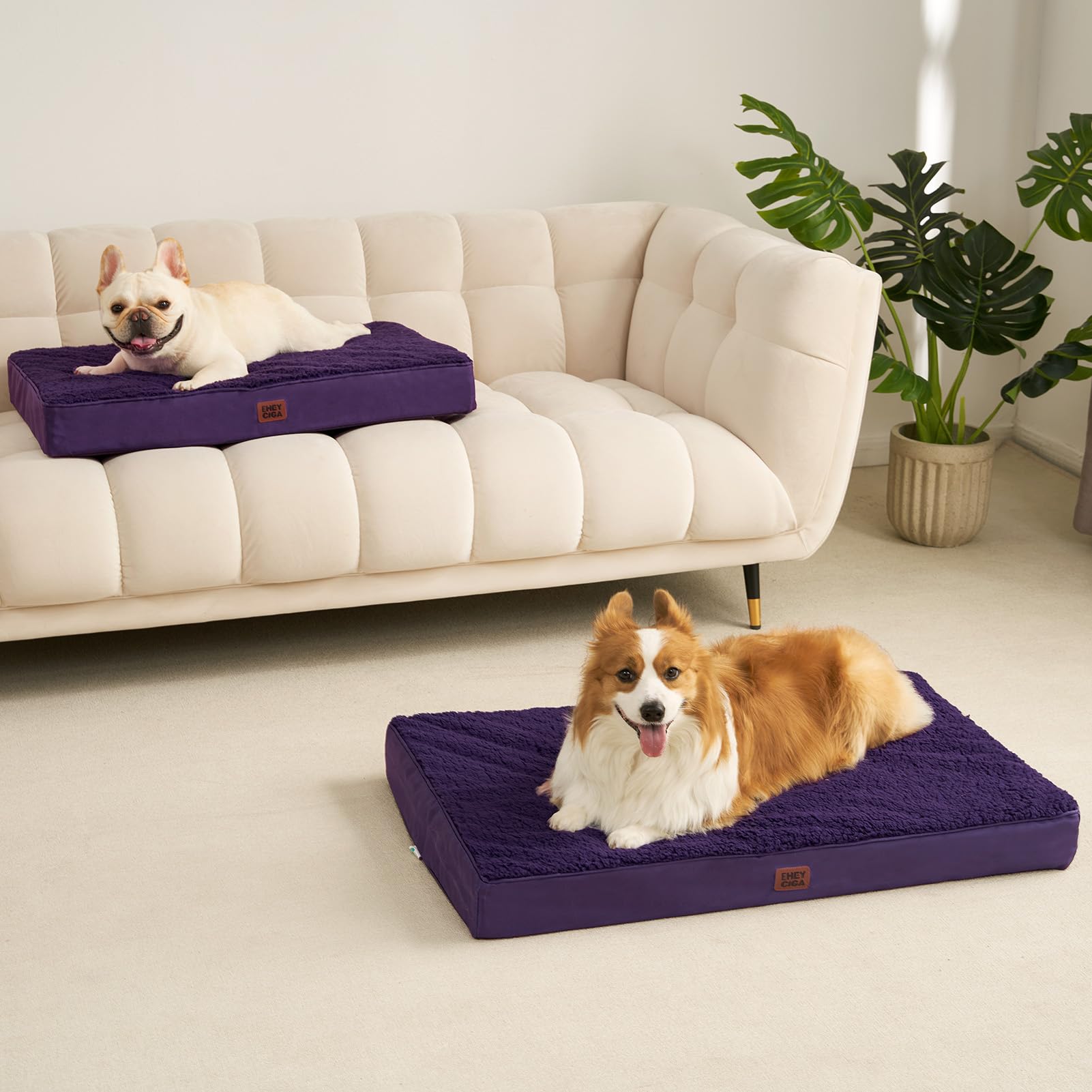 EHEYCIGA chien allongé sur lit montrant relaxation et maintien