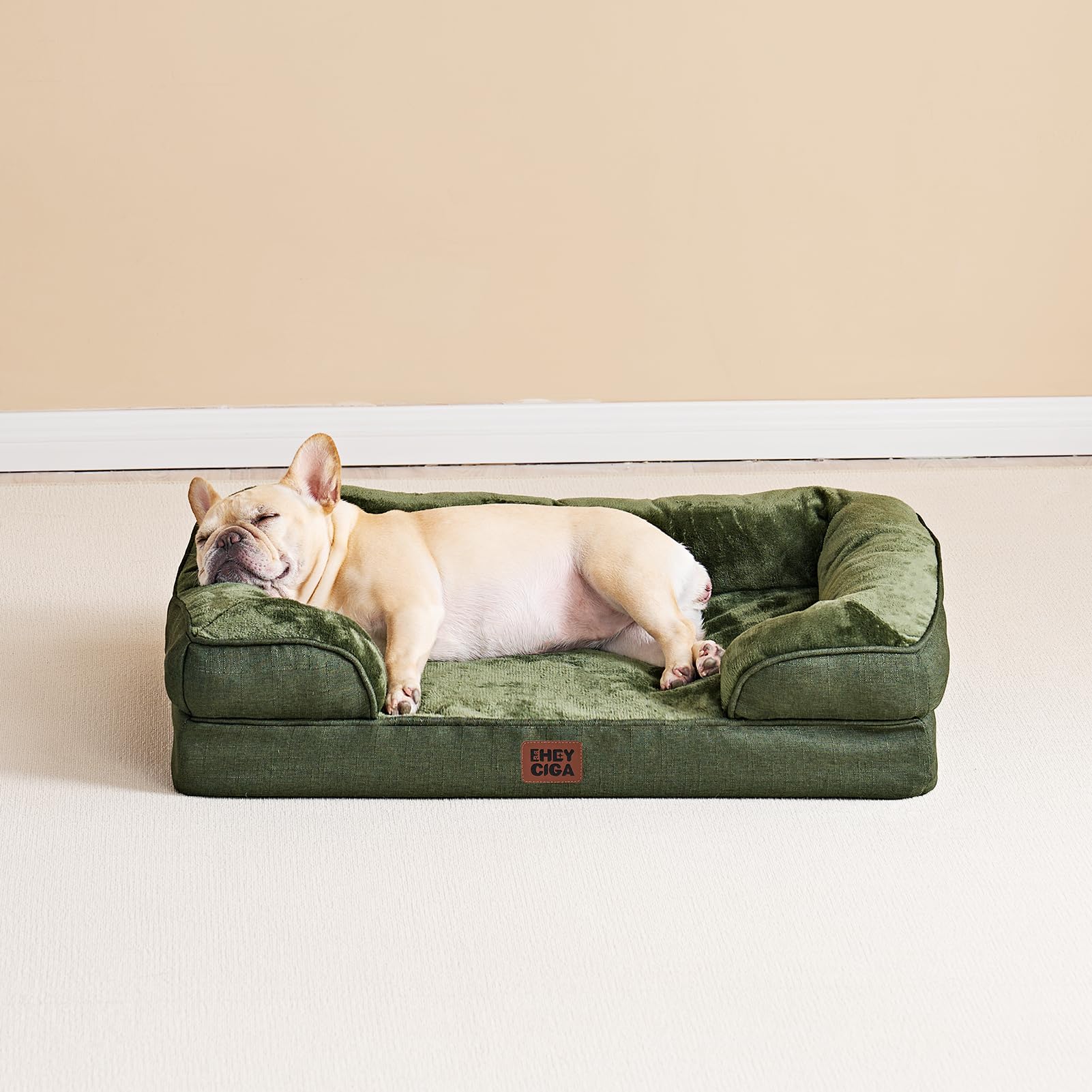 EHEYCIGA comparaison taille avec grand chien illustre capacité XL