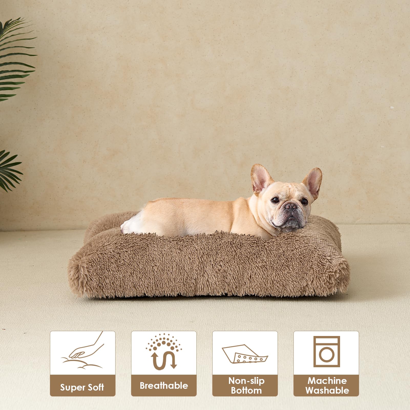 EHEYCIGA coussin après décompression, retrouve son moelleux
