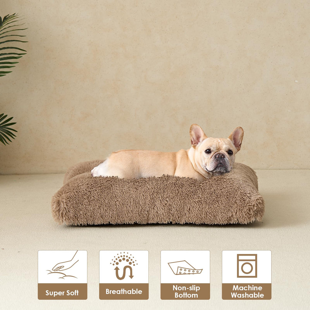 EHEYCIGA coussin après décompression, retrouve son moelleux