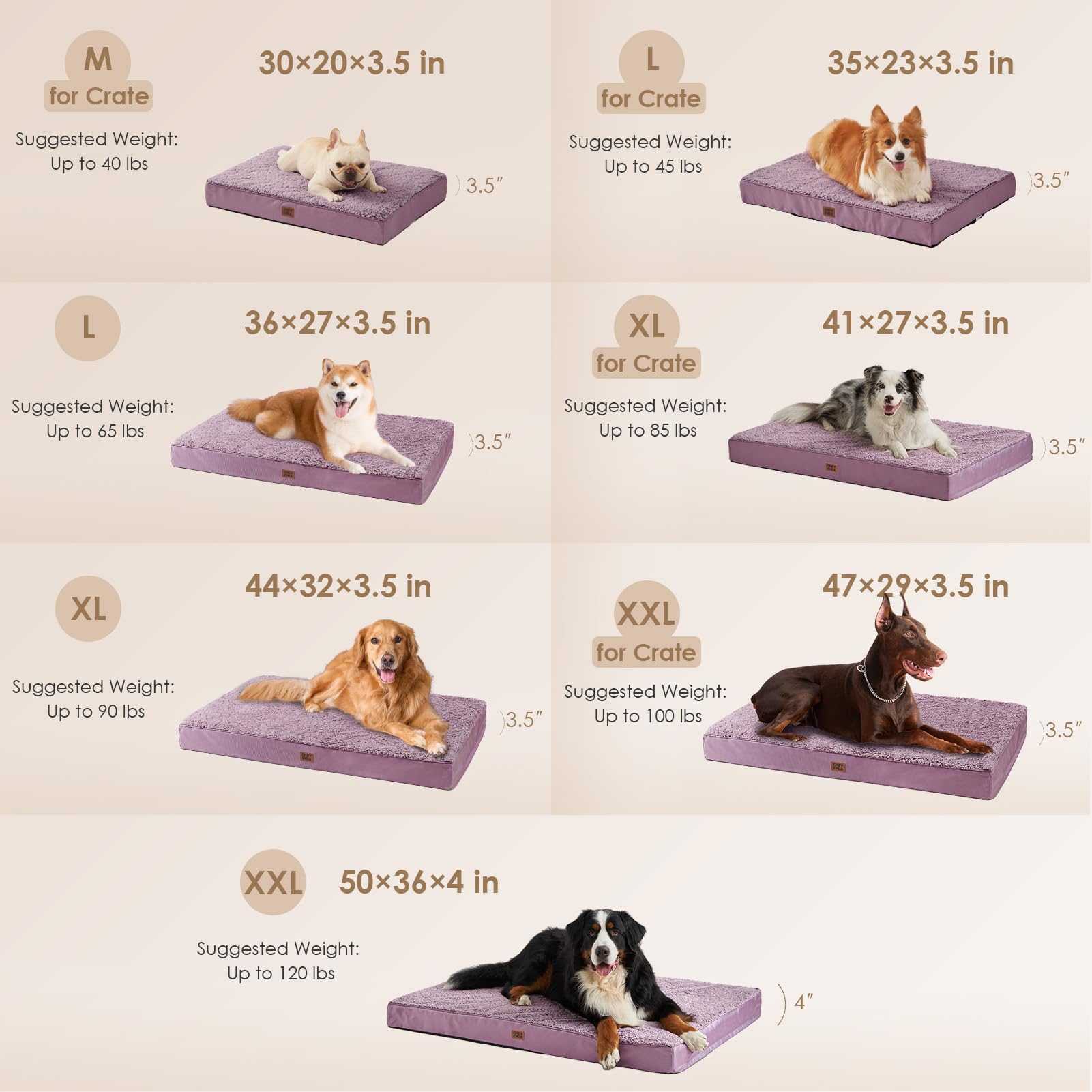 EHEYCIGA zoom sur mousse alvéolée 4 pouces pour soutien réparti