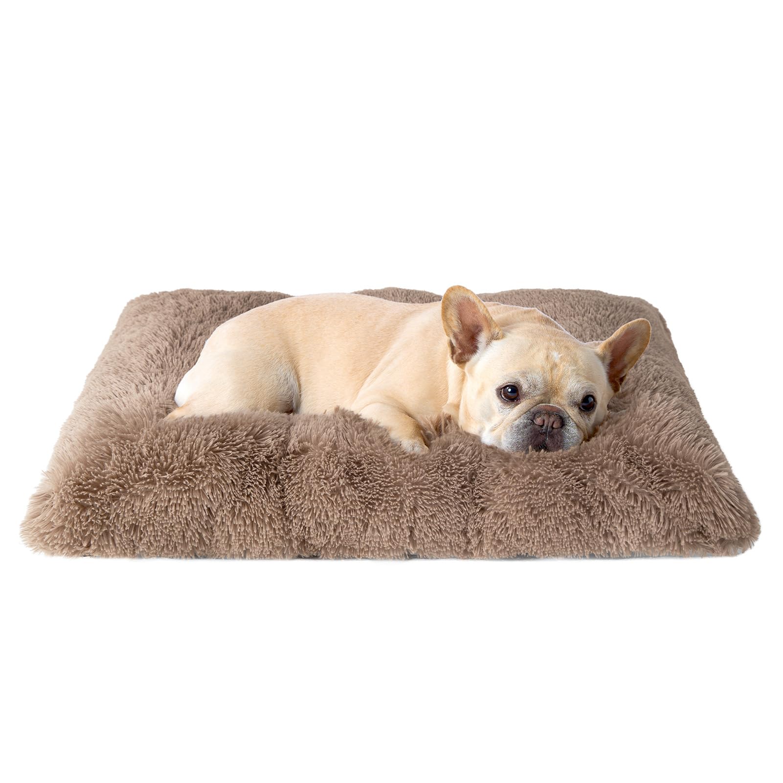 EHEYCIGA vue avant du coussin camel apportant confort immédiat