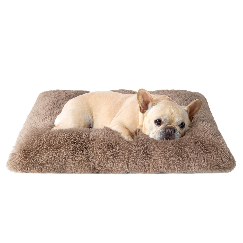EHEYCIGA vue avant du coussin camel apportant confort immédiat