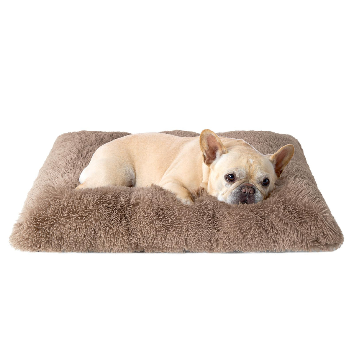 EHEYCIGA vue avant du coussin camel apportant confort immédiat