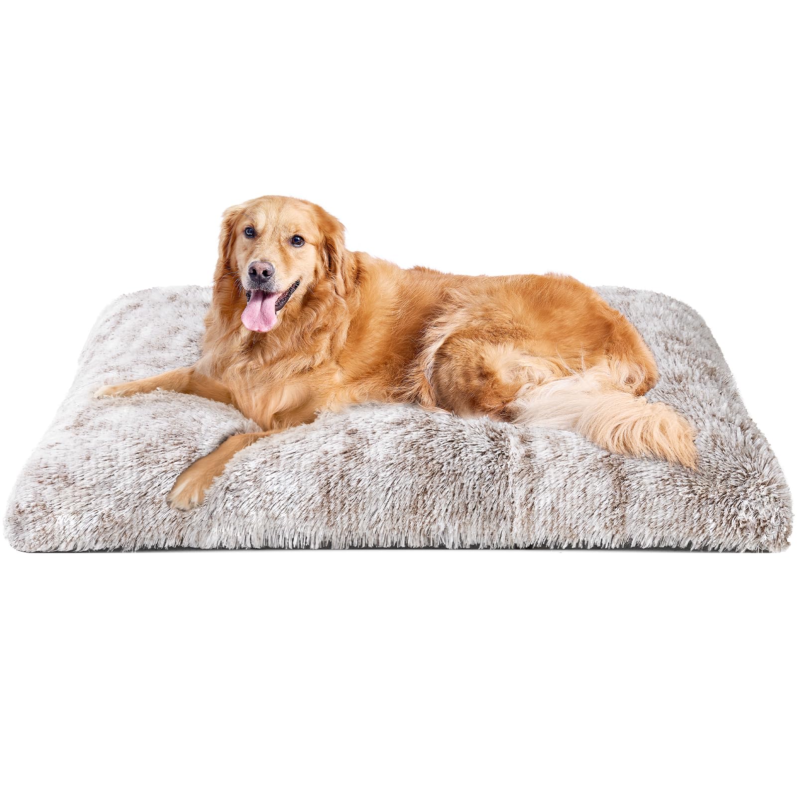 EHEYCIGA coussin face avant montrant finition et confort