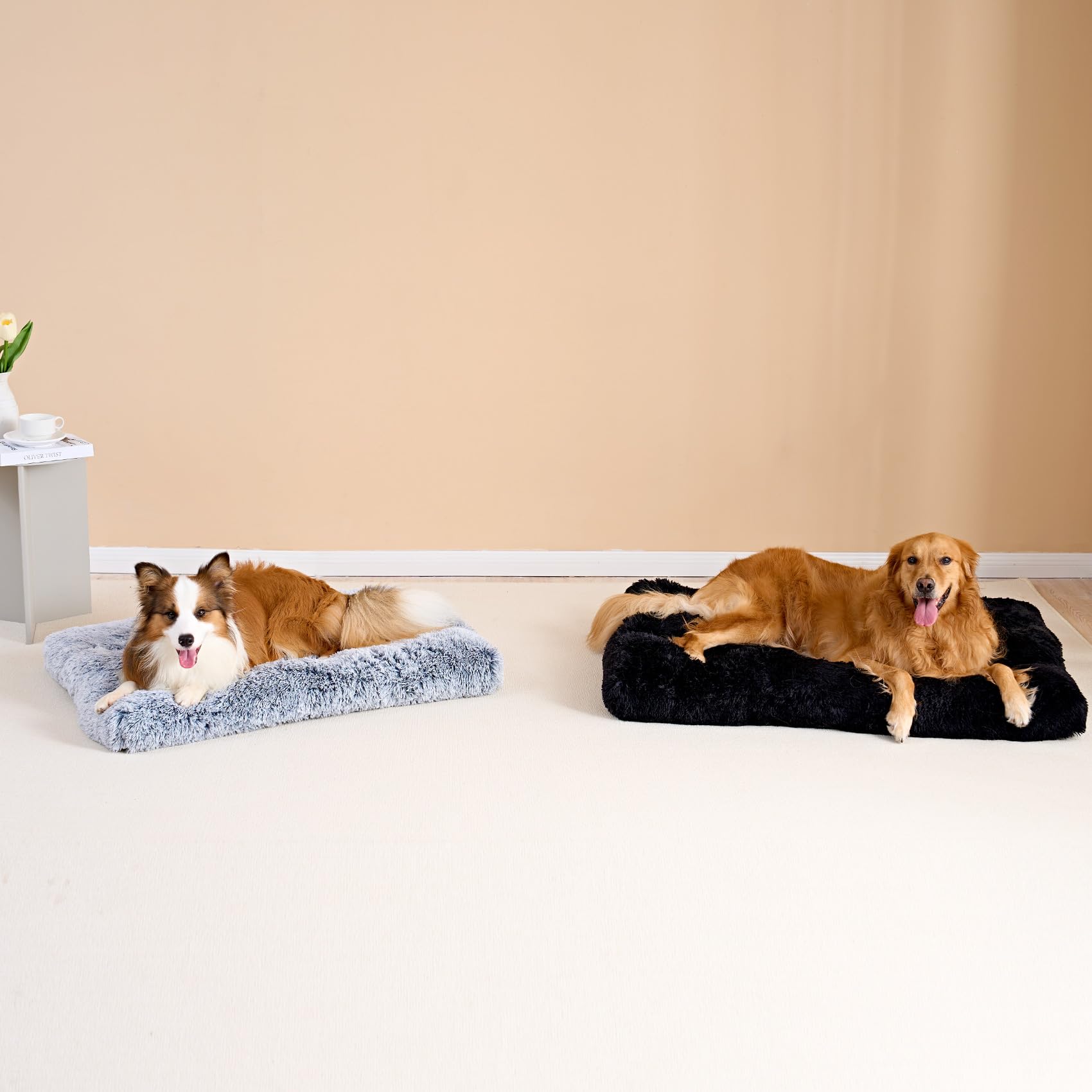 EHEYCIGA ambiance salon chien dort confortablement sur le lit