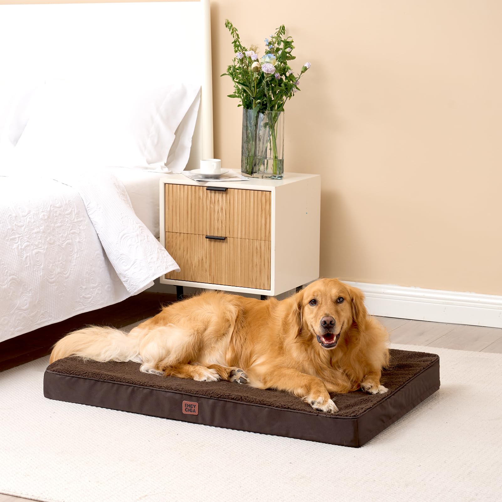 EHEYCIGA chien allongé sur lit démontrant relaxation immédiate