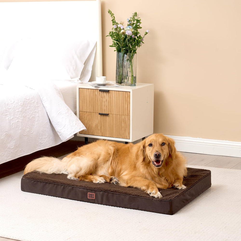 EHEYCIGA chien allongé sur lit démontrant relaxation immédiate