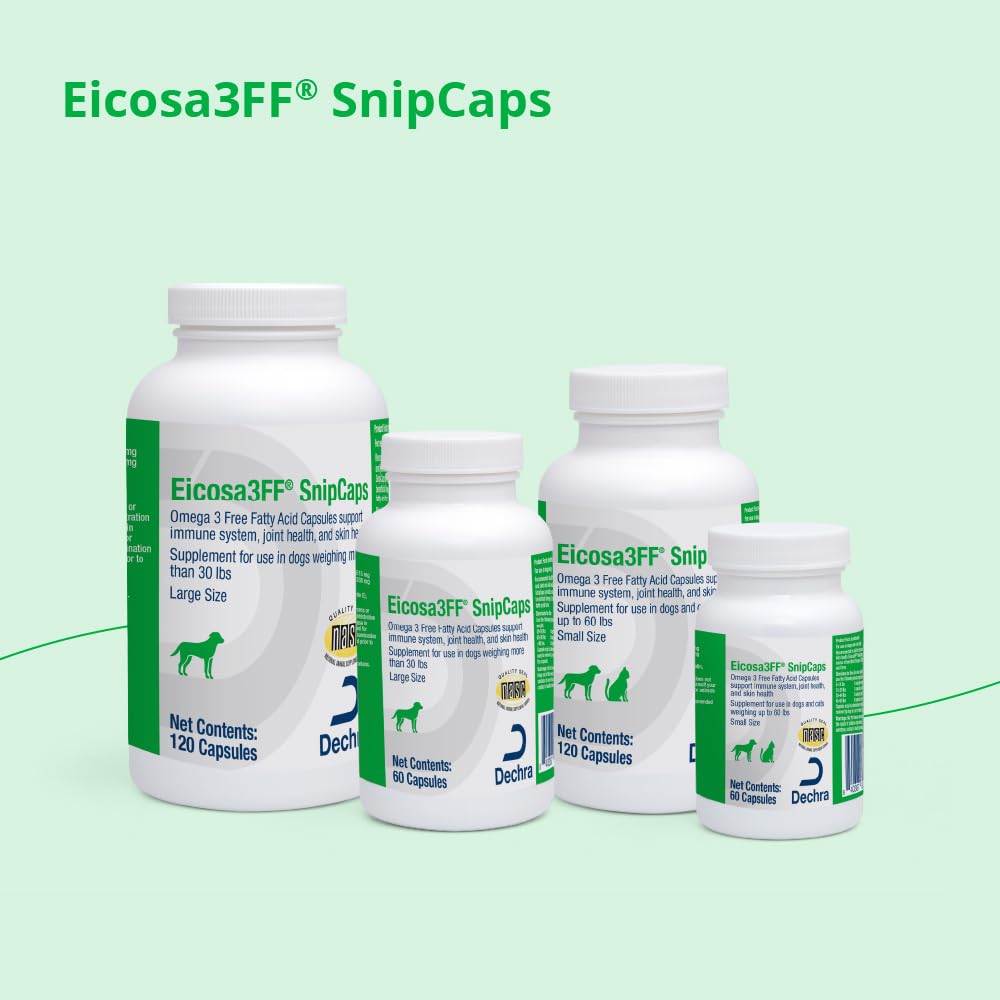 Eicosa3FF SnipCaps versées sur croquettes montrant administration discrète et acceptation