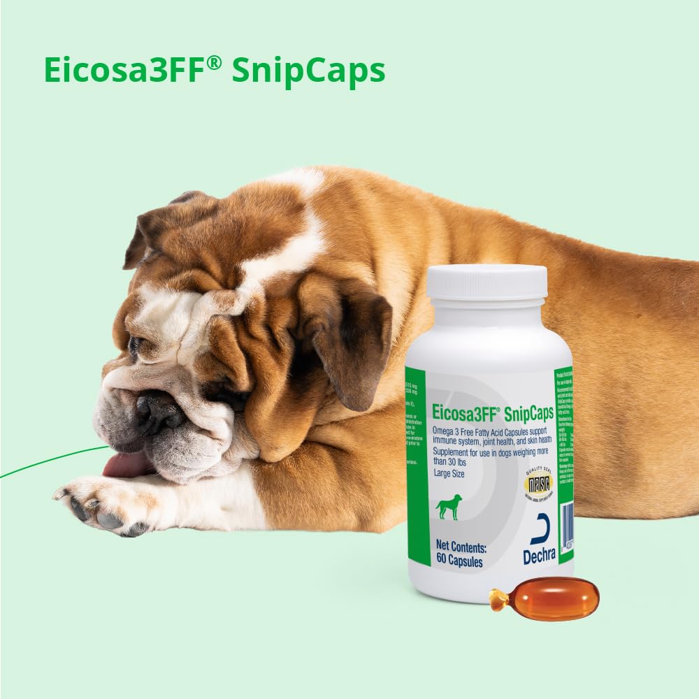 Comparaison de taille Eicosa3FF SnipCaps dans une main pour évaluer dosage et ergonomie