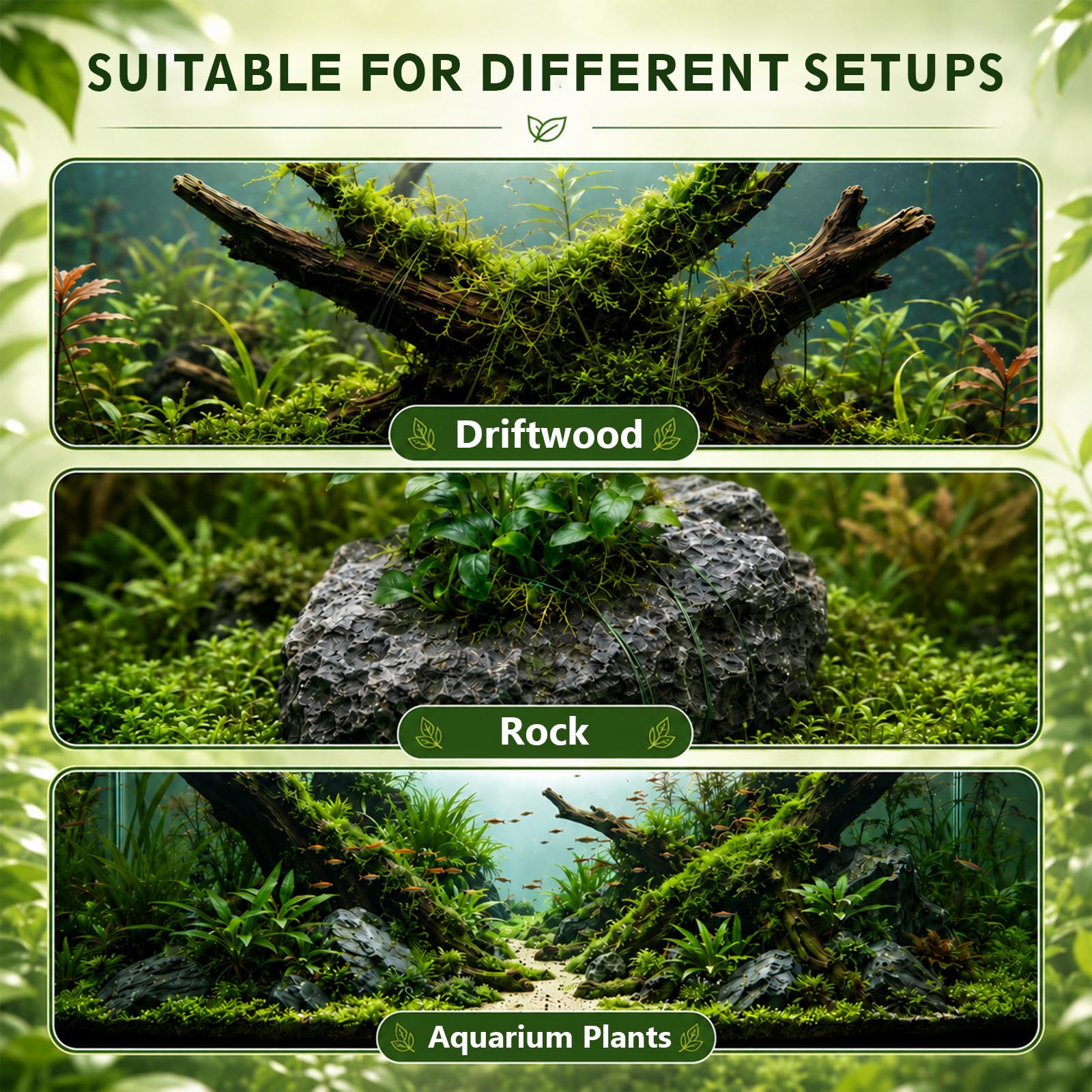 Packaging ElaraBerry avec bobine de fil, solution complète pour aquascaping
