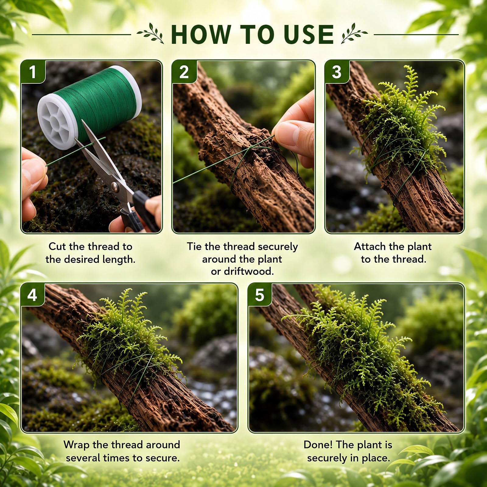ElaraBerry fil utilisé pour attacher Java moss, maintien naturel