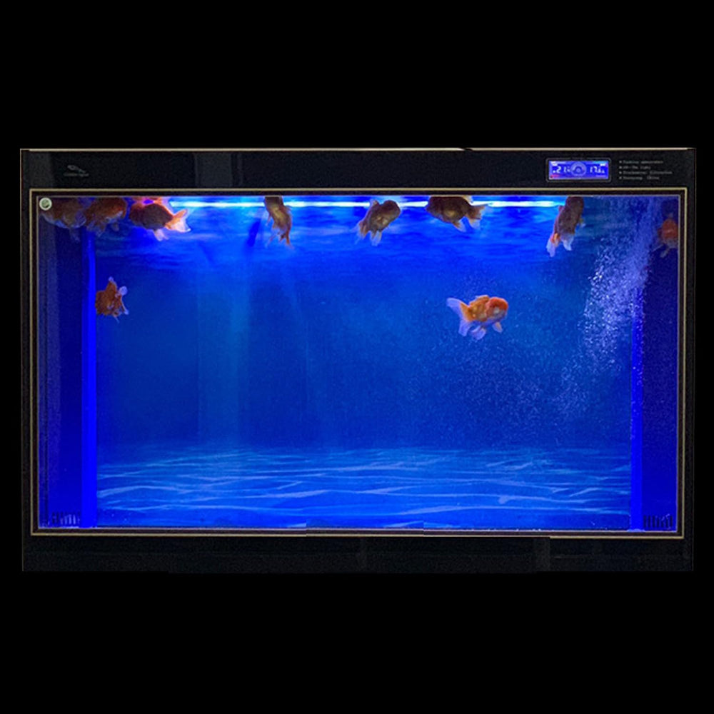 ELEBOX fond cachant tuyaux et filtre pour un décor aquarium net et soigné