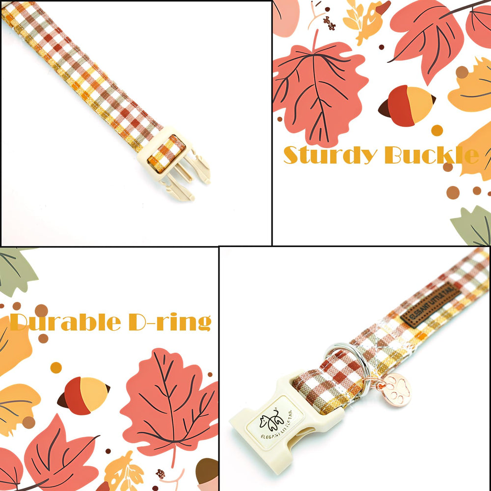 Elegant little tail boucle breakaway et anneau métal résistants pour attacher la laisse