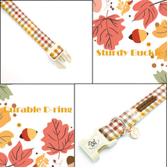 Elegant little tail boucle breakaway et anneau métal résistants pour attacher la laisse