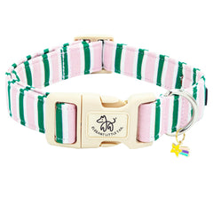 Elegant little tail collier face avant montrant motif rose et bande verte, style attractif