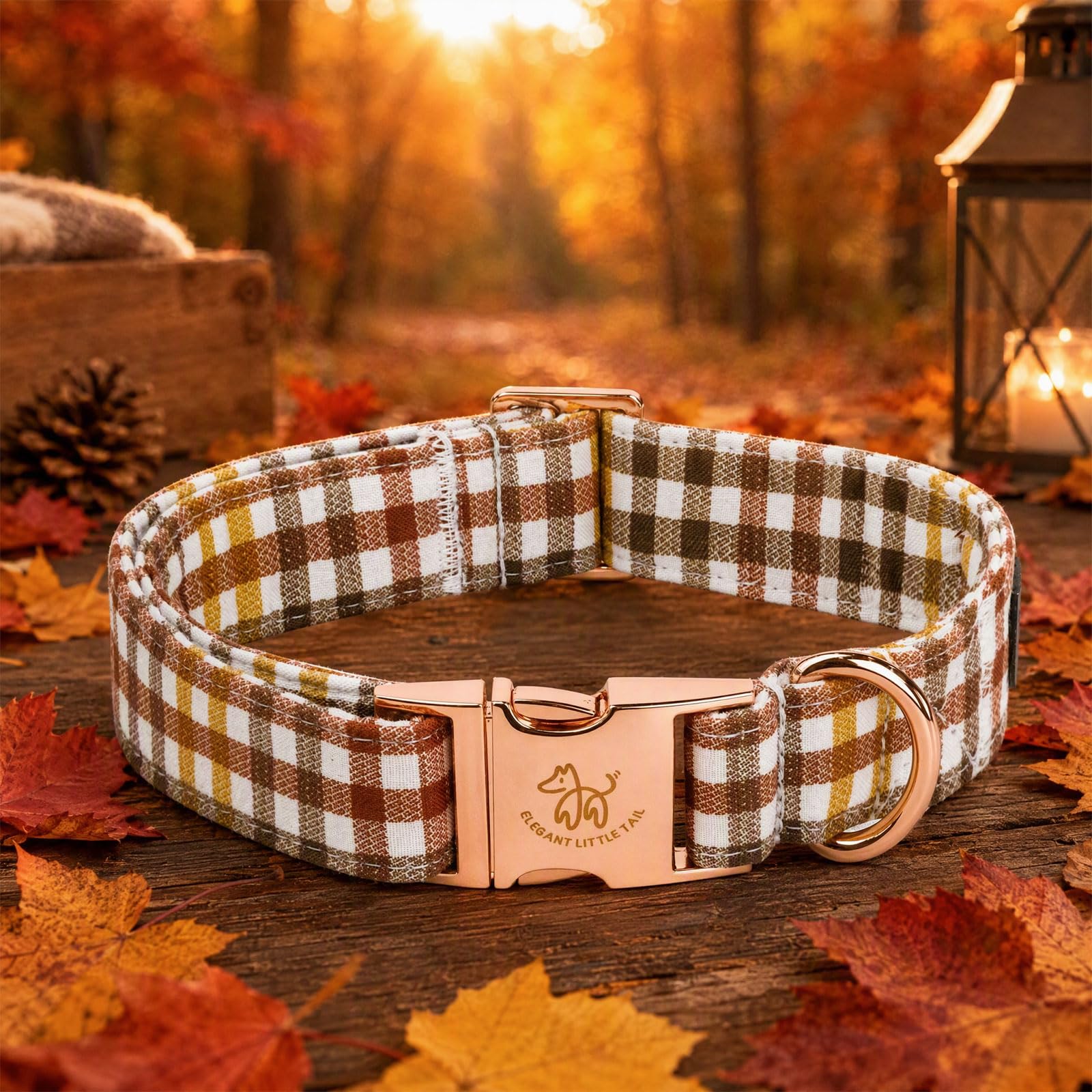 Elegant little tail collier porté lors d'une balade offrant maintien et style