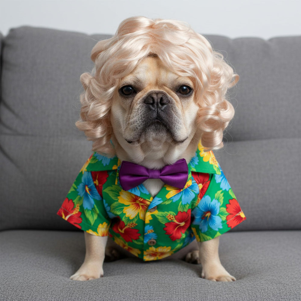 Elegaperma mise en scène lifestyle chien habillé pour événement spécial