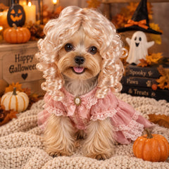 Elegaperma perruque portée par chien lors d'une fête pour photos mémorables