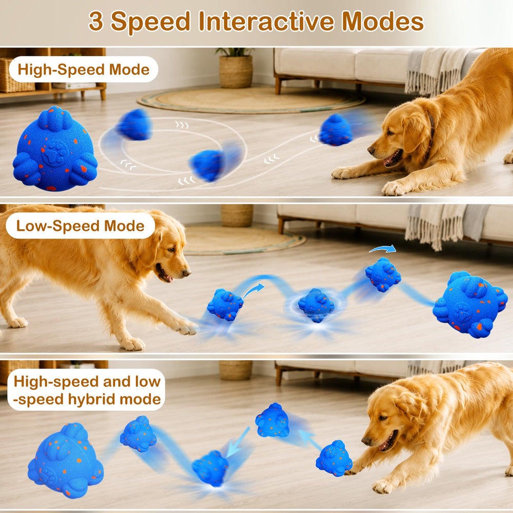 ELEGX balle à côté d'une main pour comparaison taille, adaptée chiens moyens/grands