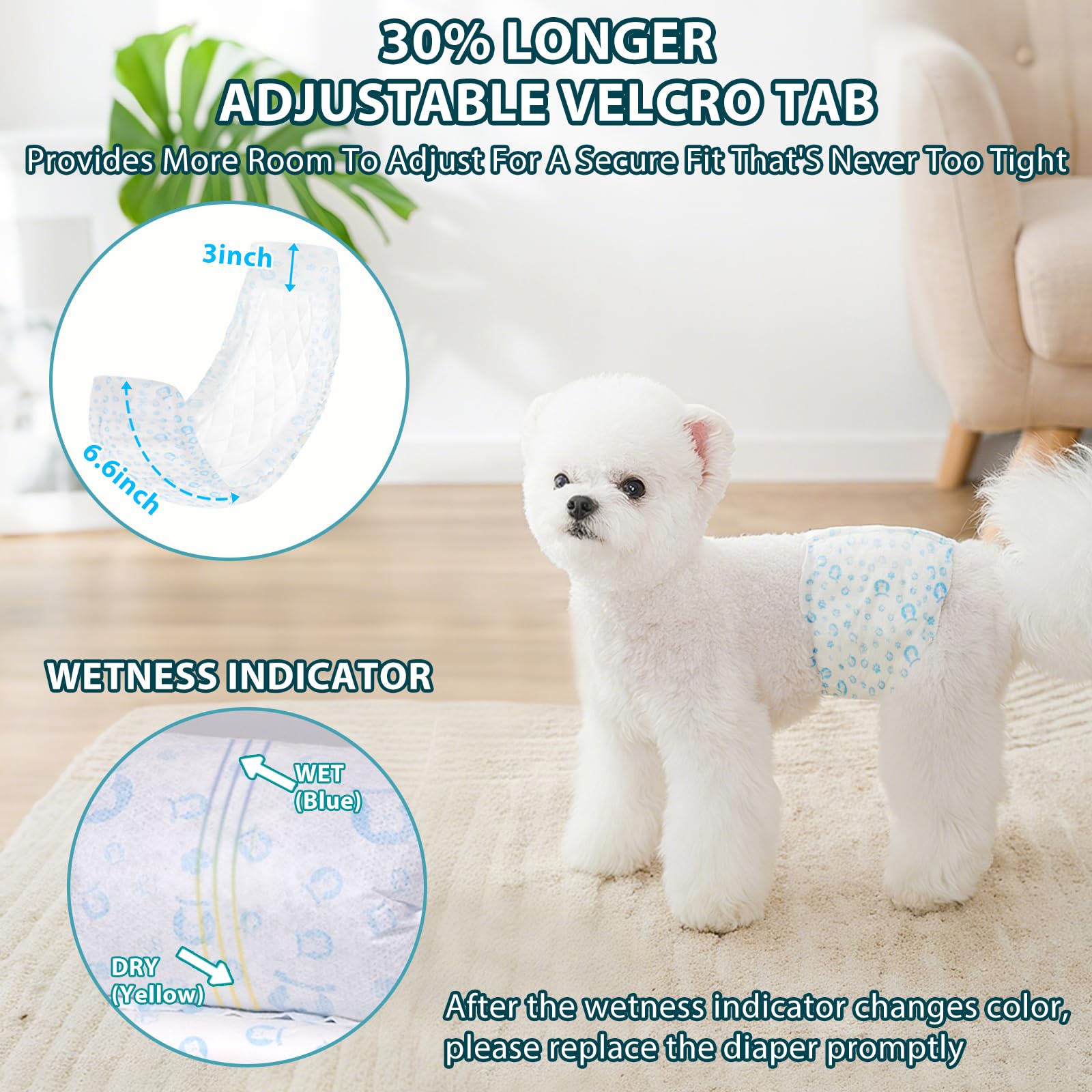Chien portant ELEGX à la maison montrant confort et liberté de mouvement