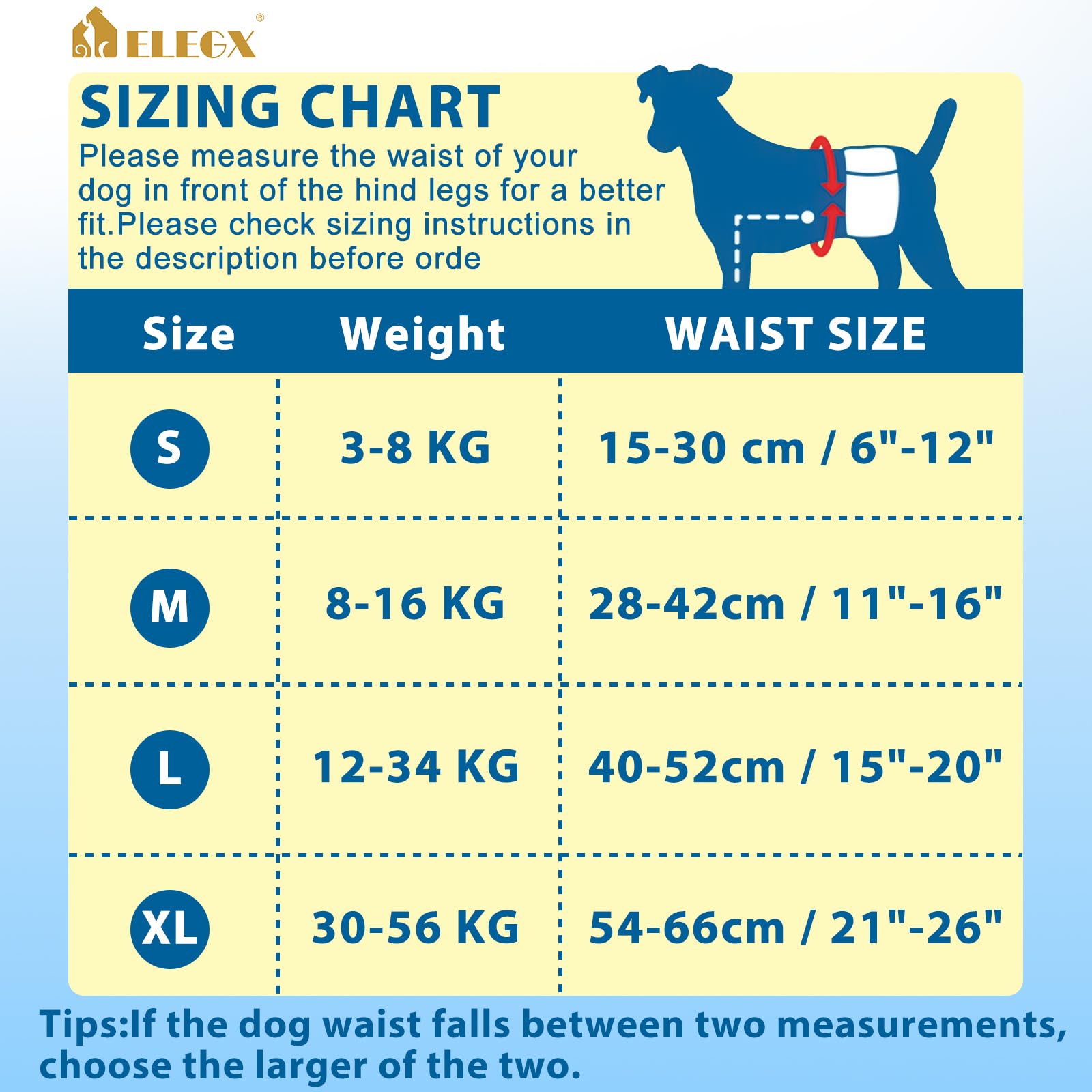 Comparatif taille ELEGX avec règle pour choisir la bonne taille facilement