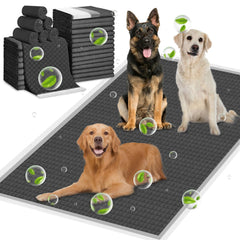 ELEGX face avant du paquet montrant 40 tapis et économie