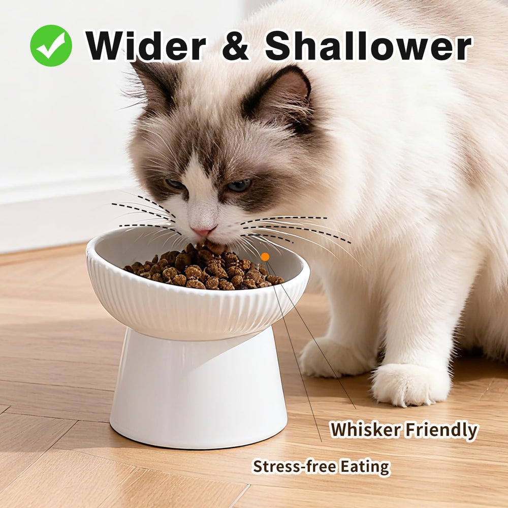 Generic bol en utilisation avec chat mangeant confortablement incliné