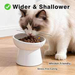 Generic bol en utilisation avec chat mangeant confortablement incliné