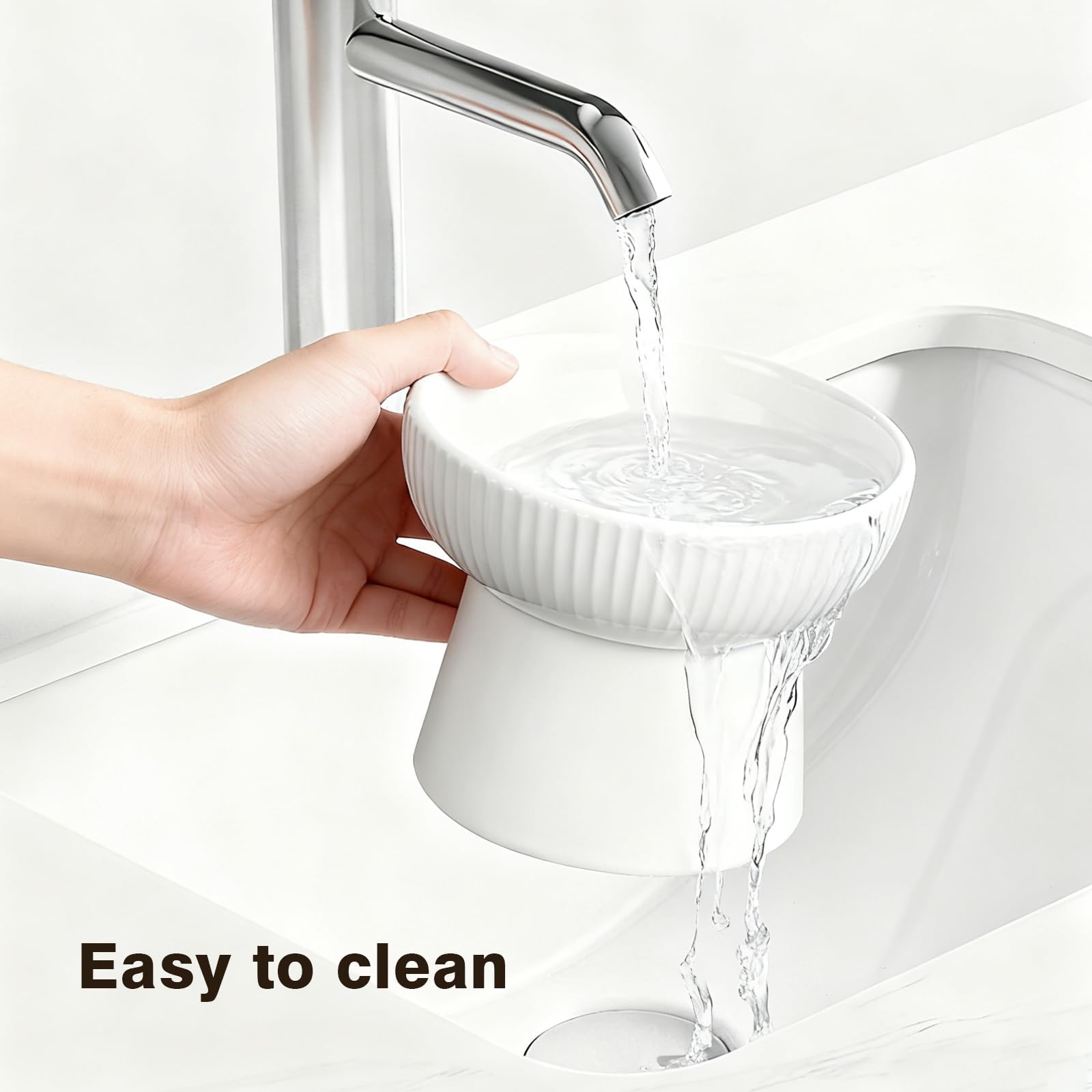 Generic ensemble de deux bols incliné et plat, solution polyvalente
