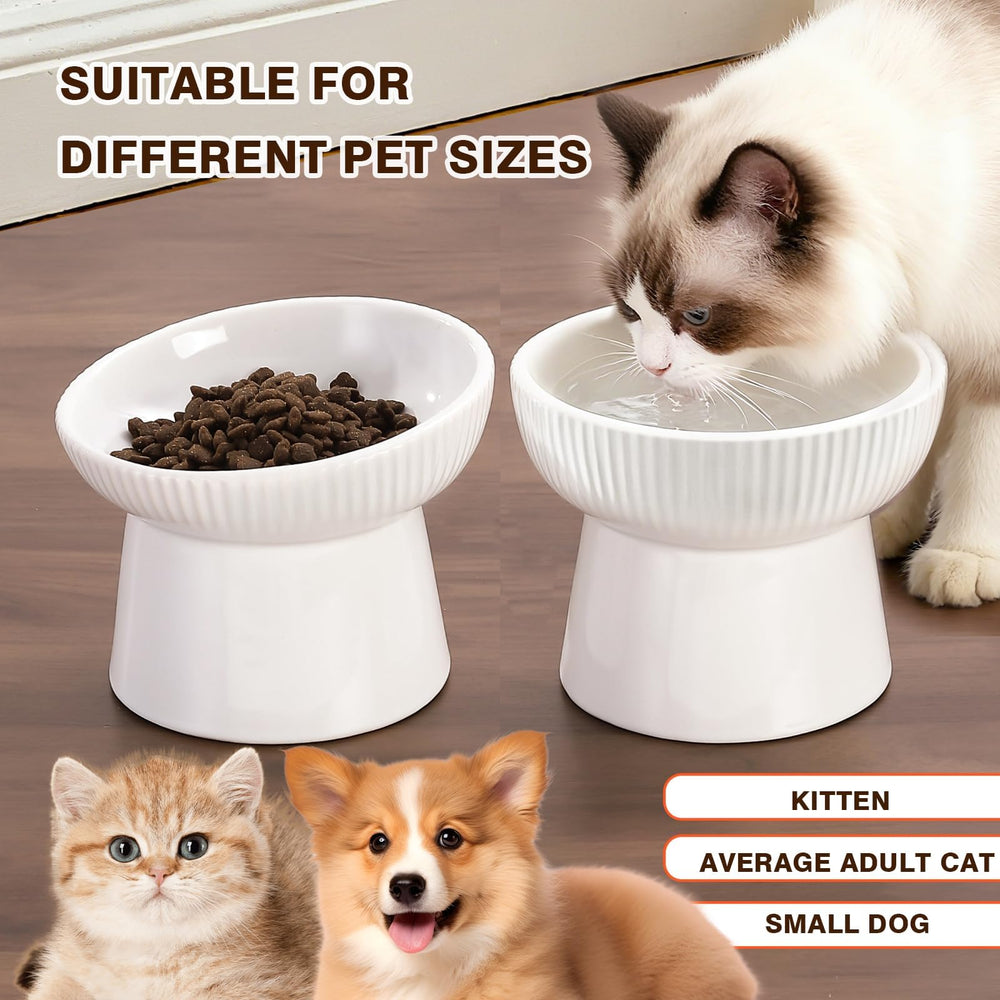 Generic jeune chaton mangeant dans le bol, protection des moustaches