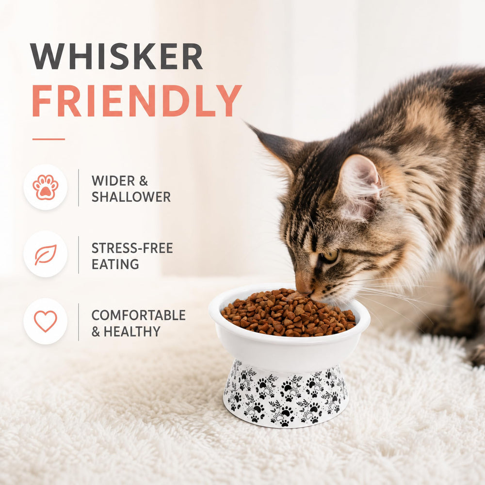 ELFULLY bol en usage par un chat, confort et réduction de la fatigue