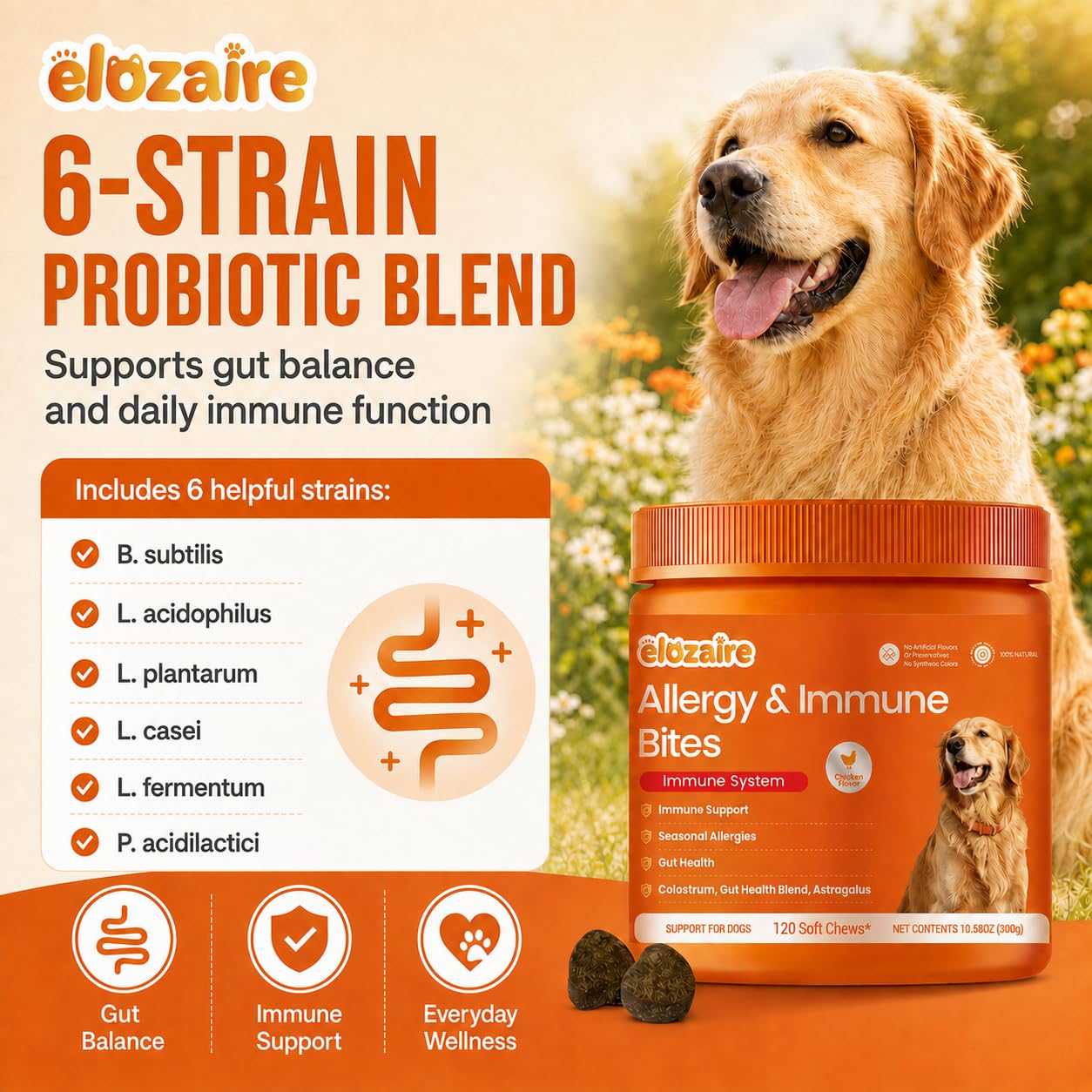 elozaire chien qui mange une friandise en extérieur, réduit léchage