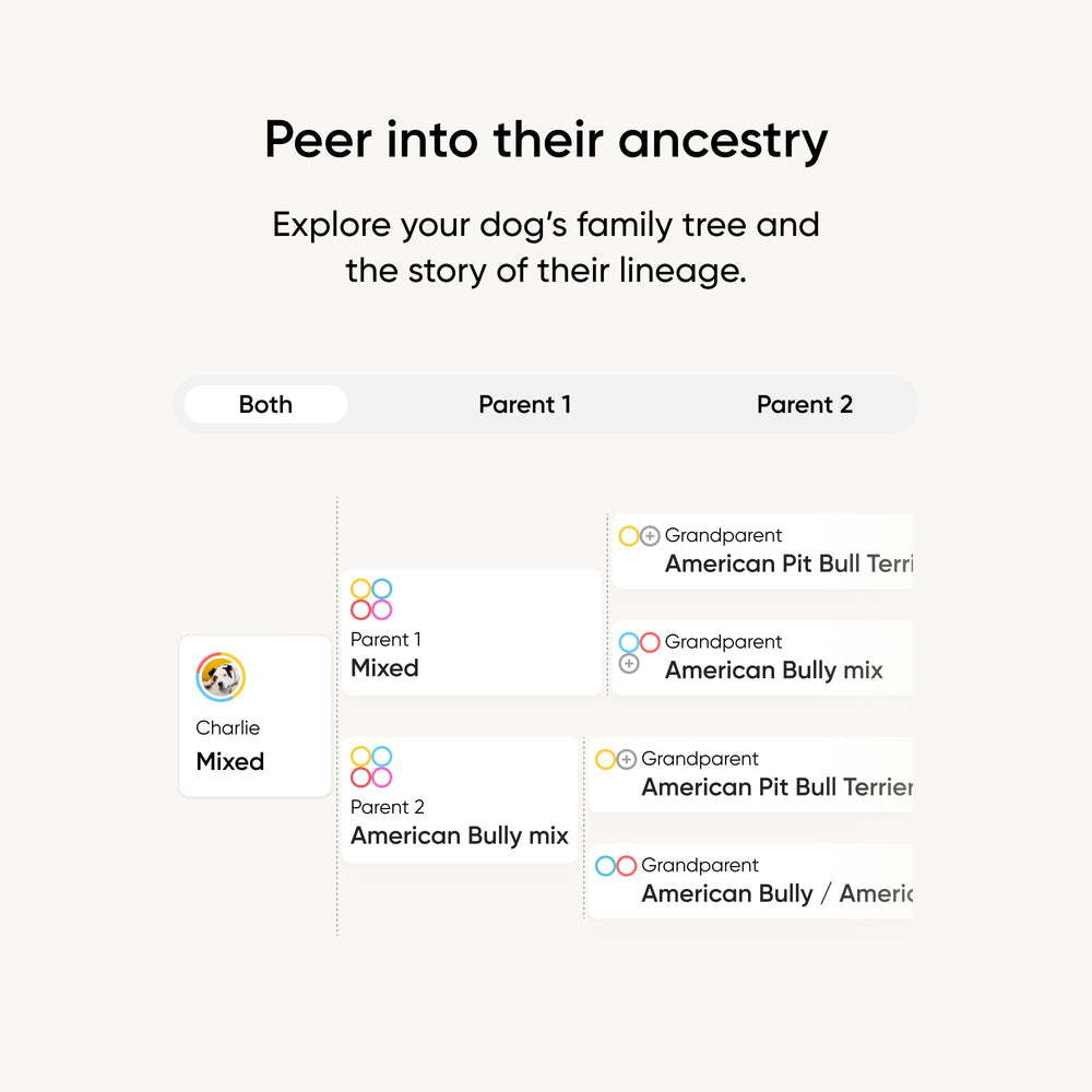 Écran d'application Embark affichant résultats clairs et partageables