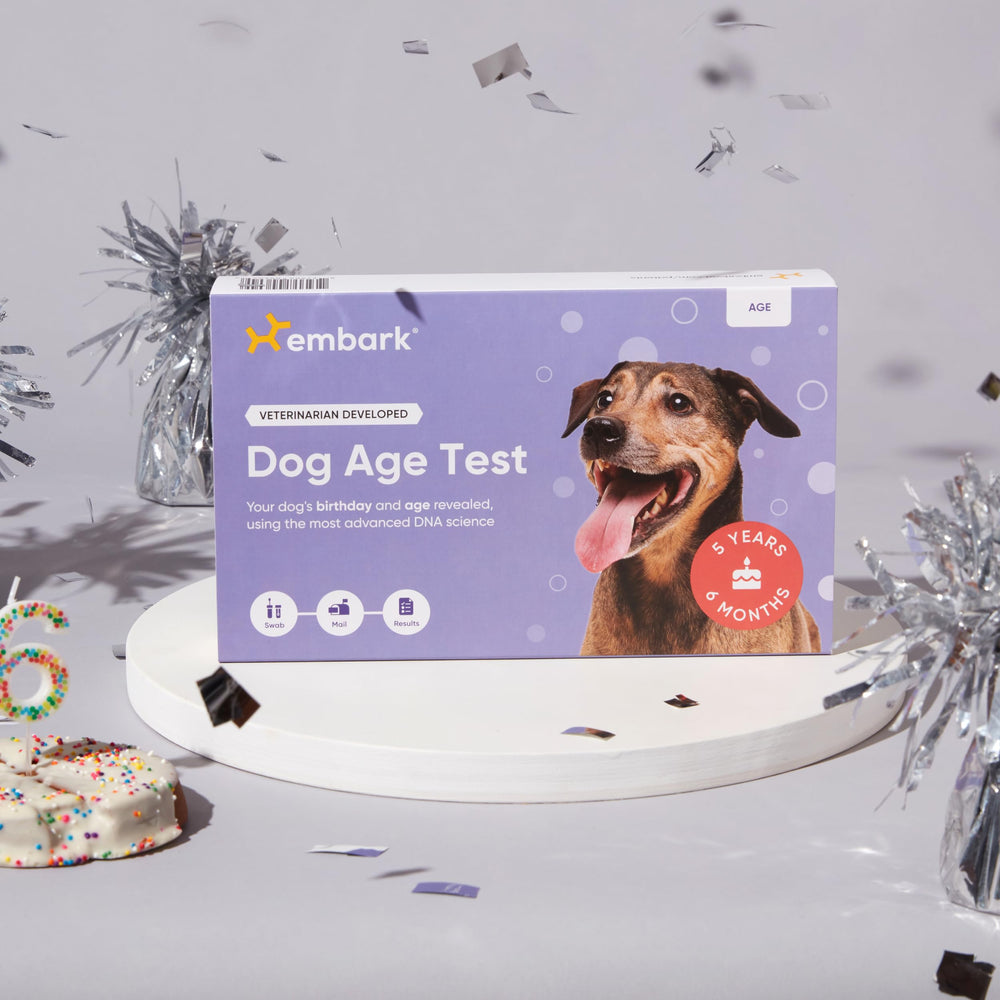 Chien adulte avec Embark, aide à connaître stade de vie