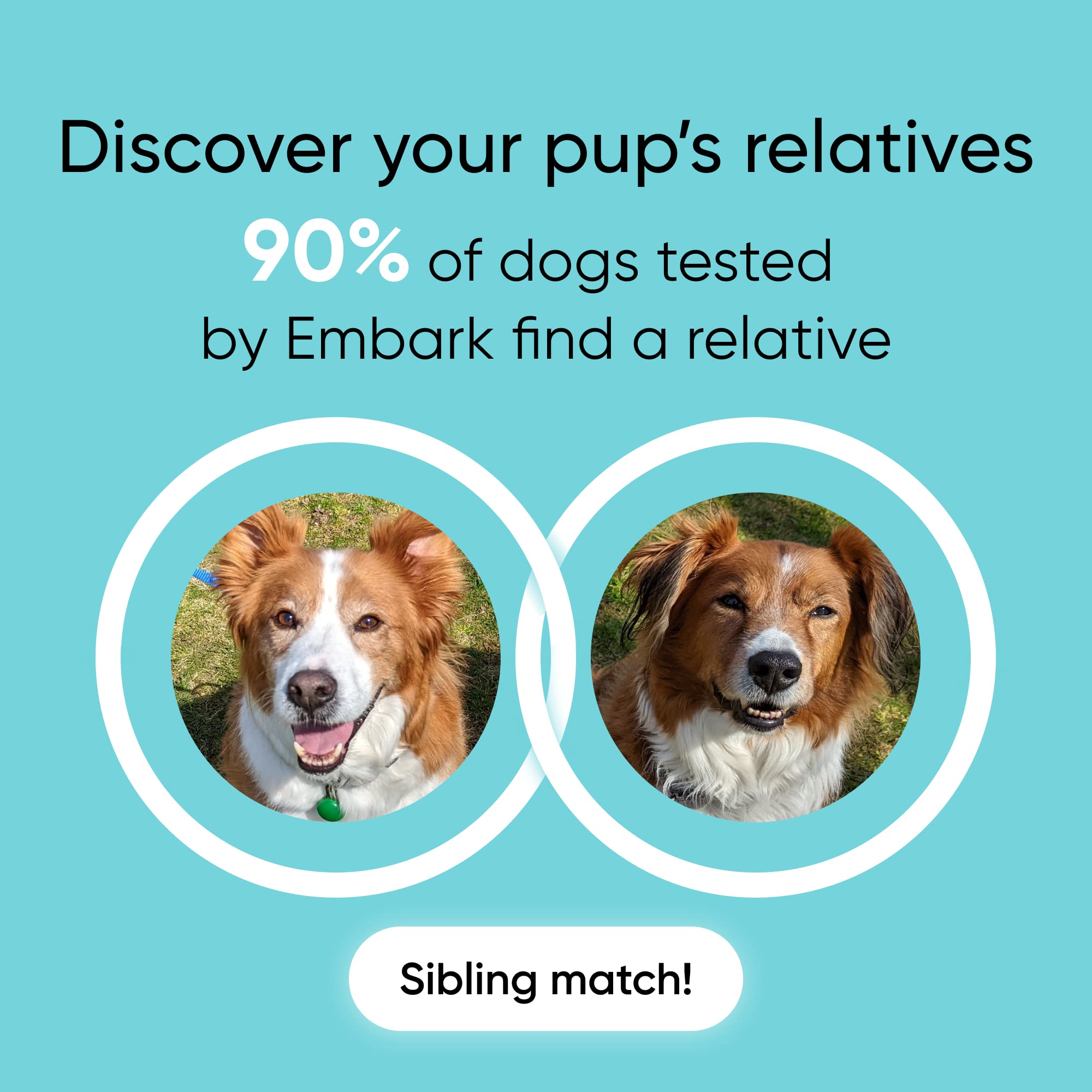 Embark emballage intérieur avec tous les éléments pour un envoi facile