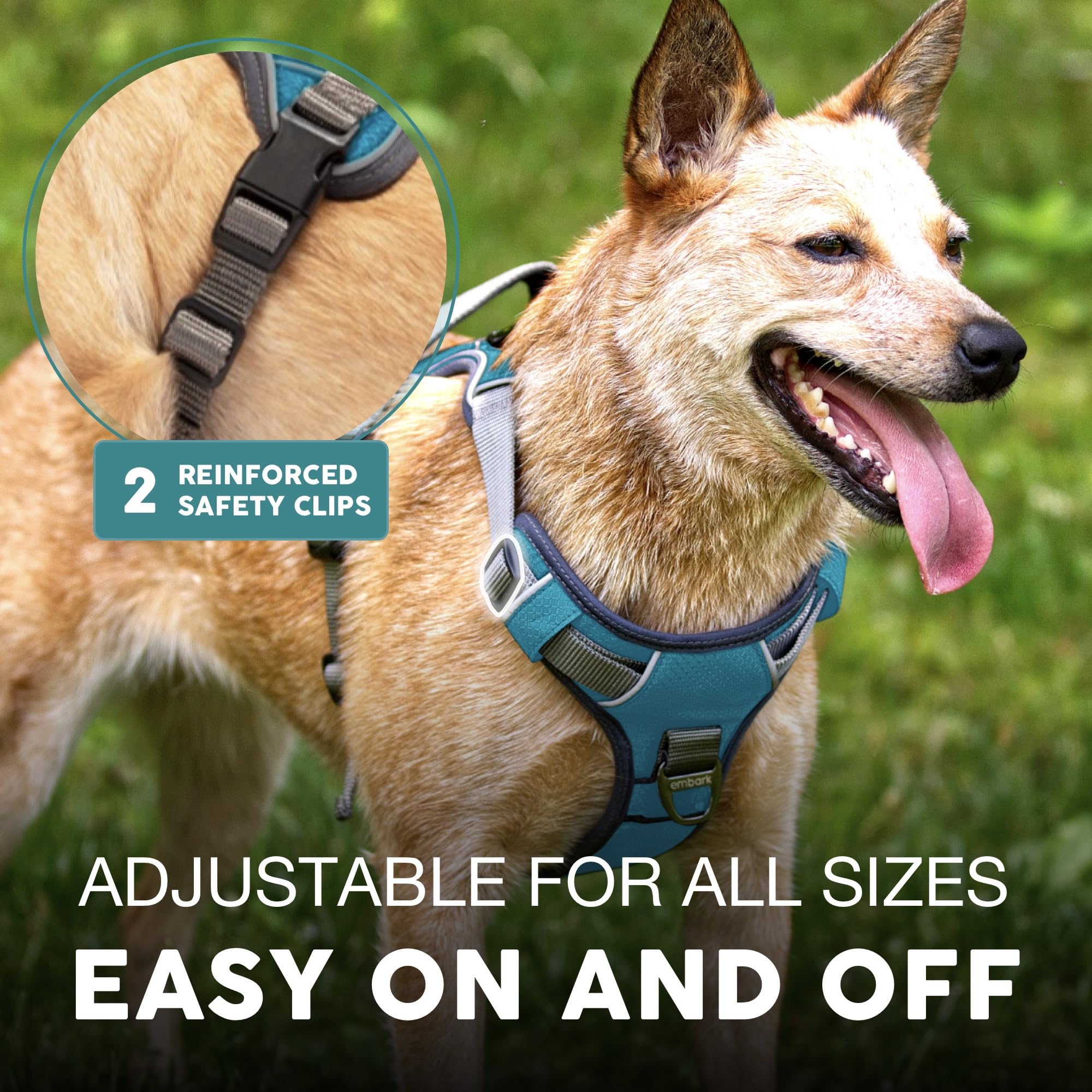 Embark harnais anneaux frontal et dorsal pour dressage et promenade