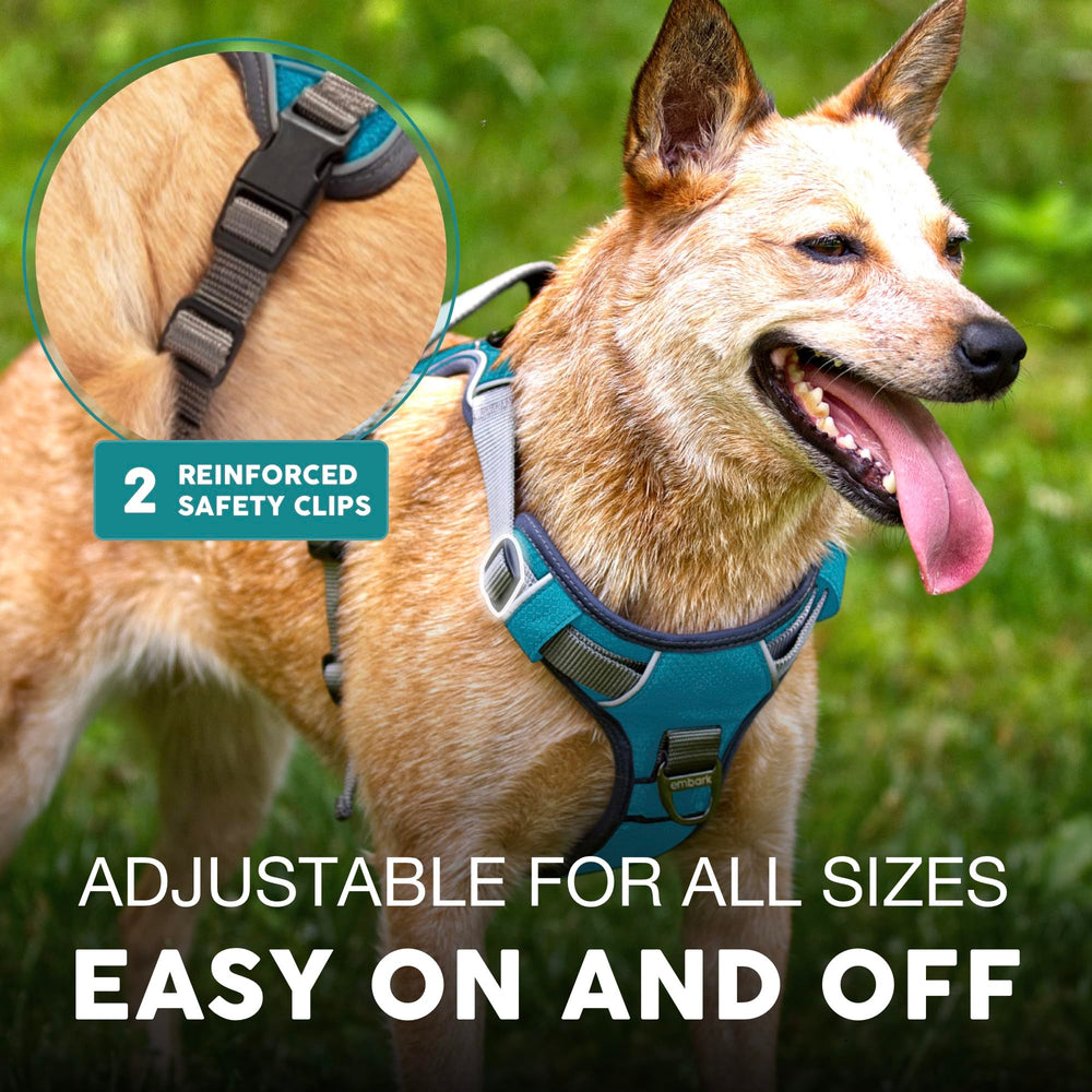 Embark harnais anneaux frontal et dorsal pour dressage et promenade